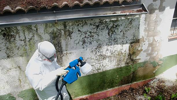 Top rated local Mold Remediation specialists in Acworth, GA